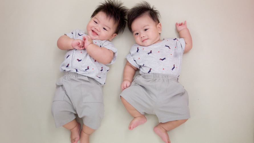 program bayi kembar