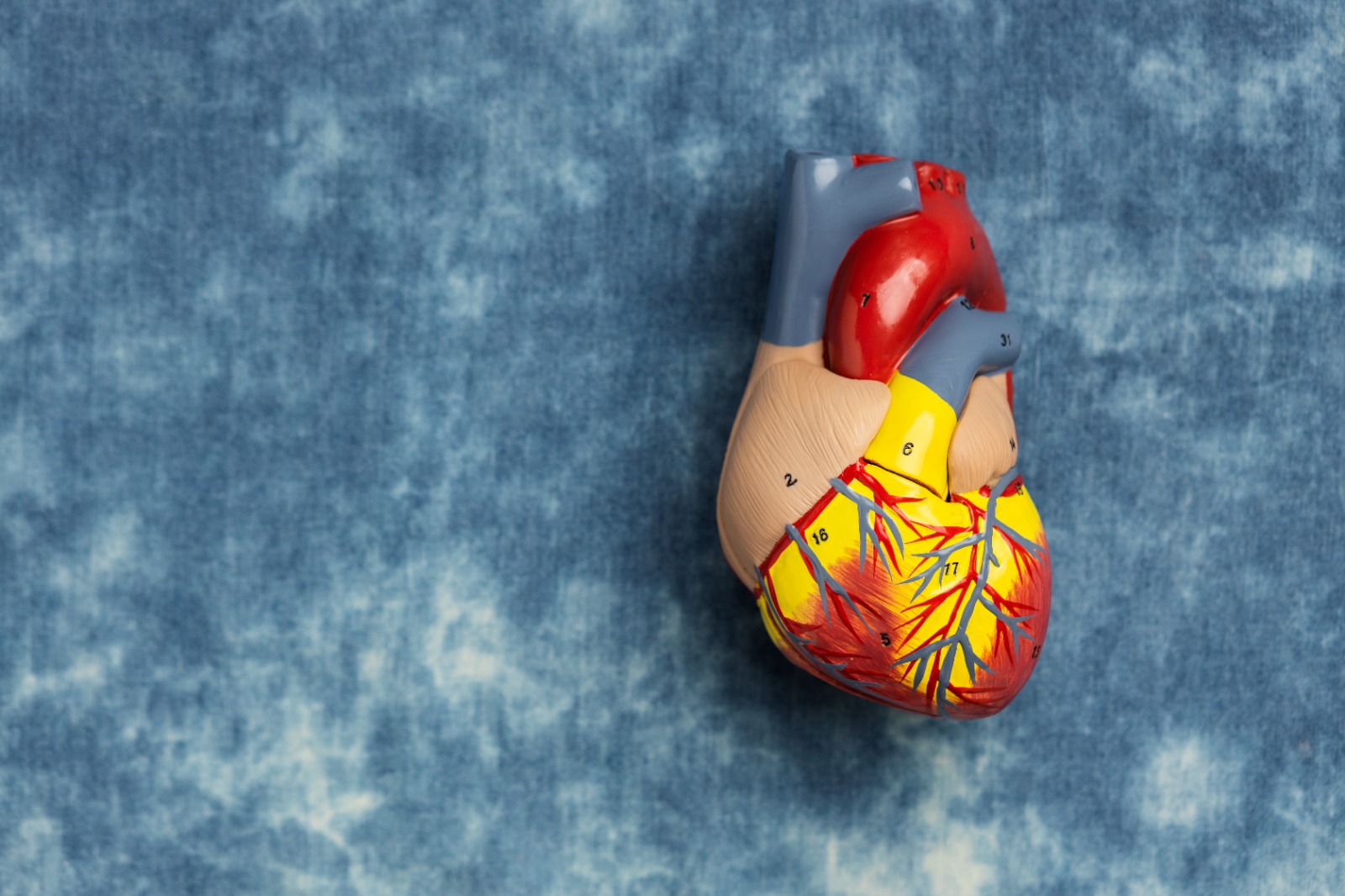 icd dan pacemaker