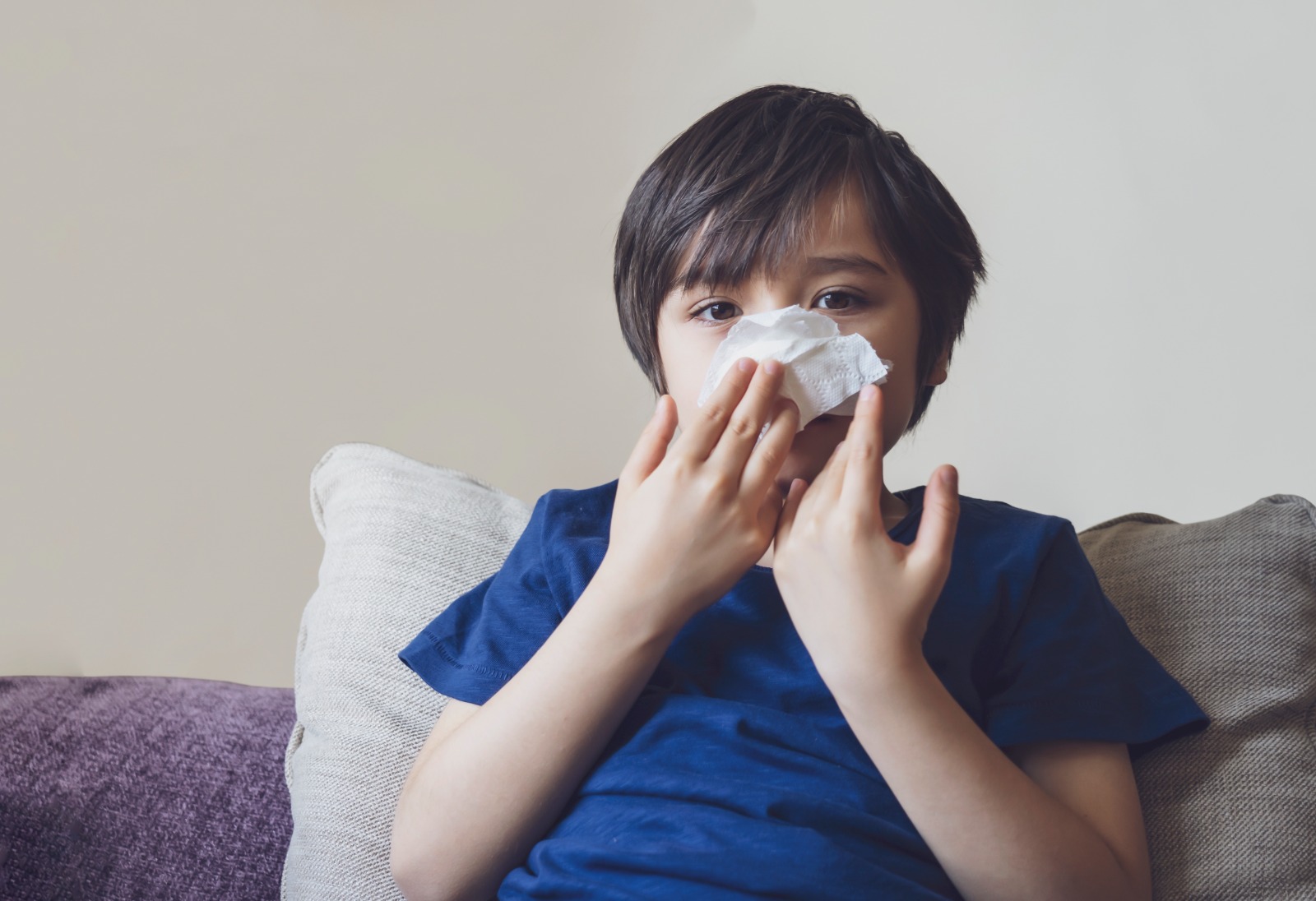 rhinitis alergi